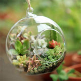 Ball Globe Shape Clear Hanging Glass Vase - Worldwide Prime