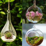 Ball Globe Shape Clear Hanging Glass Vase - Worldwide Prime