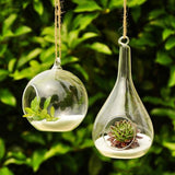 Ball Globe Shape Clear Hanging Glass Vase - Worldwide Prime