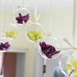 Hot Clear Glass Globes With 1 Hole Flower - Worldwide Prime